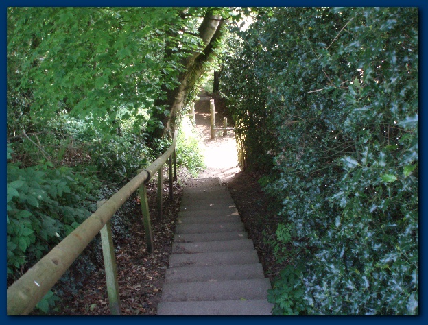 600x449 pixels (179K)